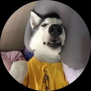 Meet your Posher, Vanallen